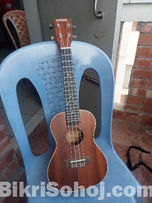 ukelele yamaha 24